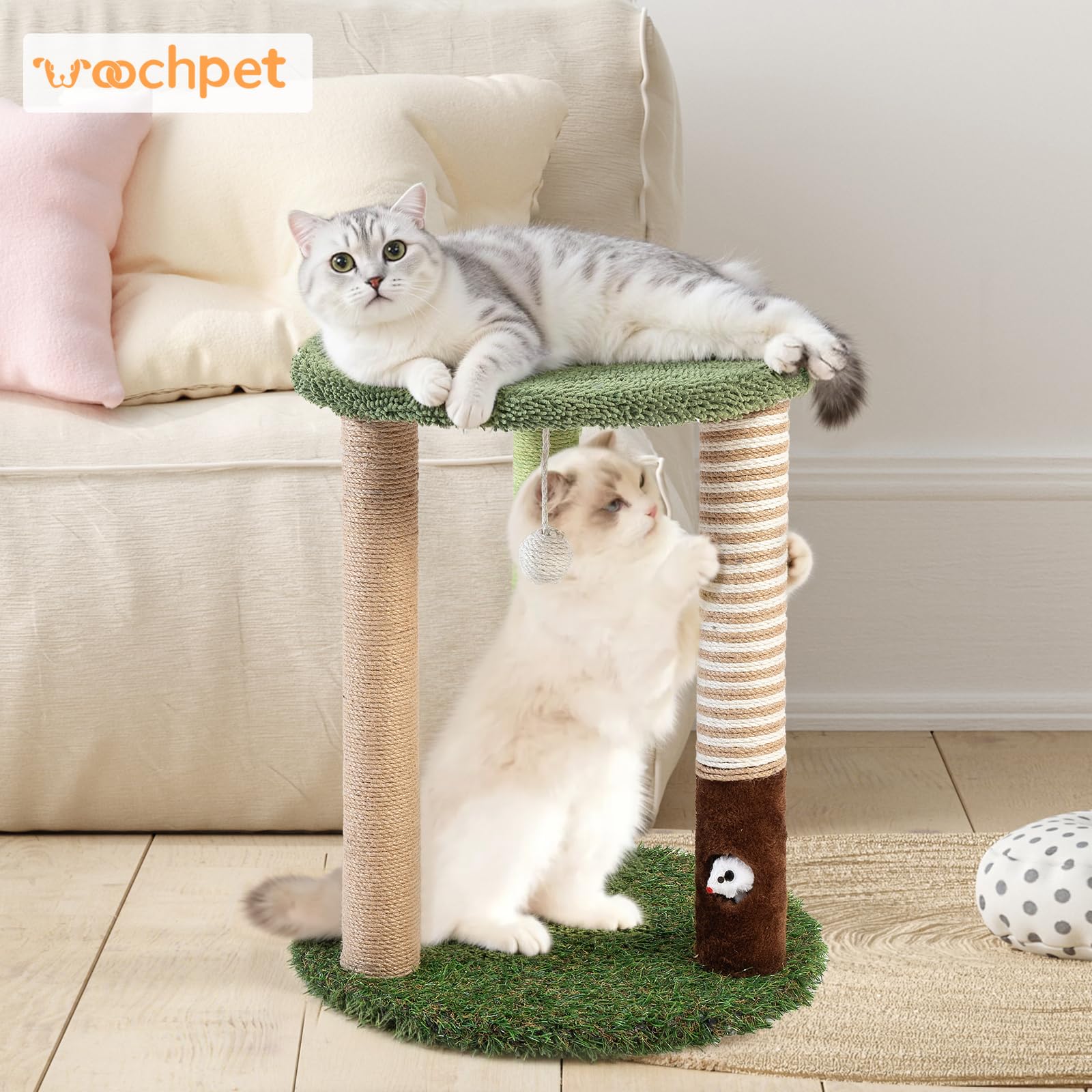 Woochpet cat tree perch bed provides a cozy spot for rest.