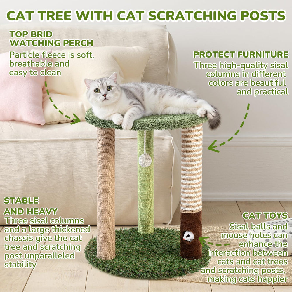 Woochpet stable chassis offers wide base for steady playtime.