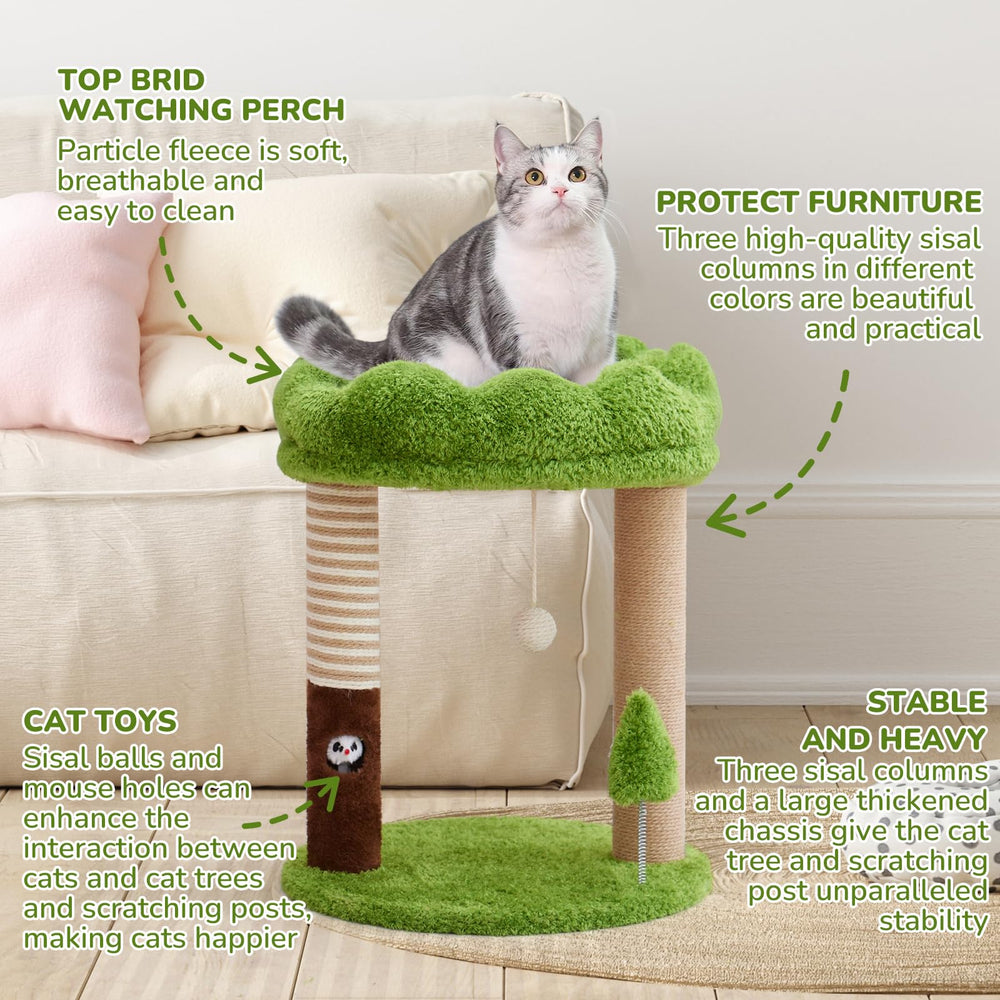 Woochpet cat tree features a stable chassis for balanced, energetic activities.