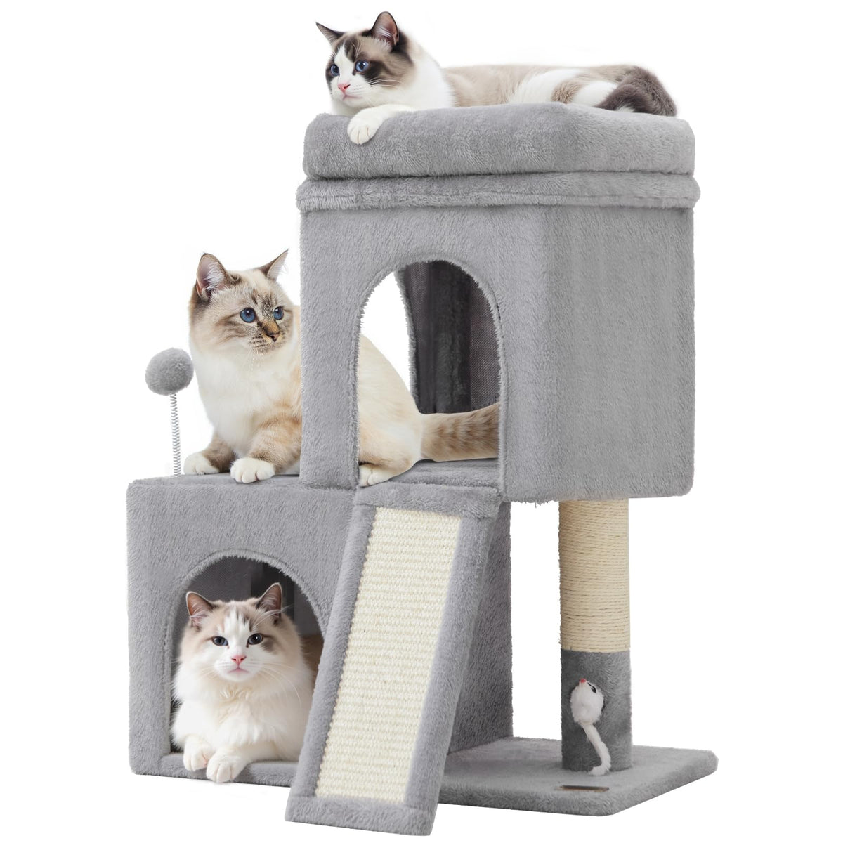 Woochpet cat tree top platform offers a birds-eye view for relaxed perches.
