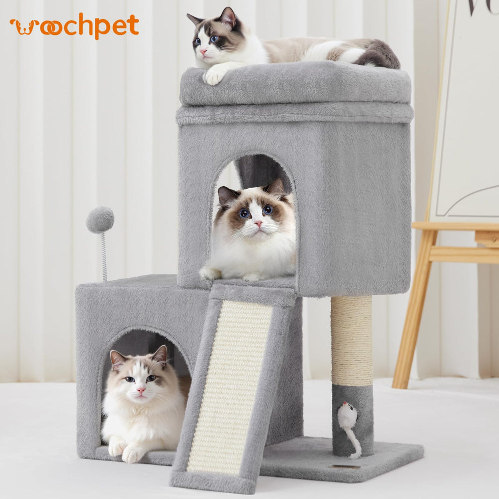 Woochpet cozy perch area for comfortable rest and viewing.