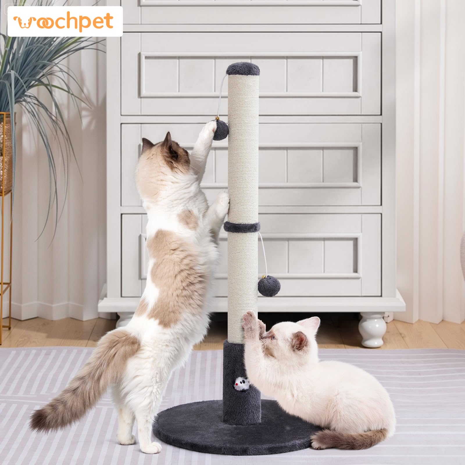 Woochpet durable weighted base reduces tipping during enthusiastic scratching.