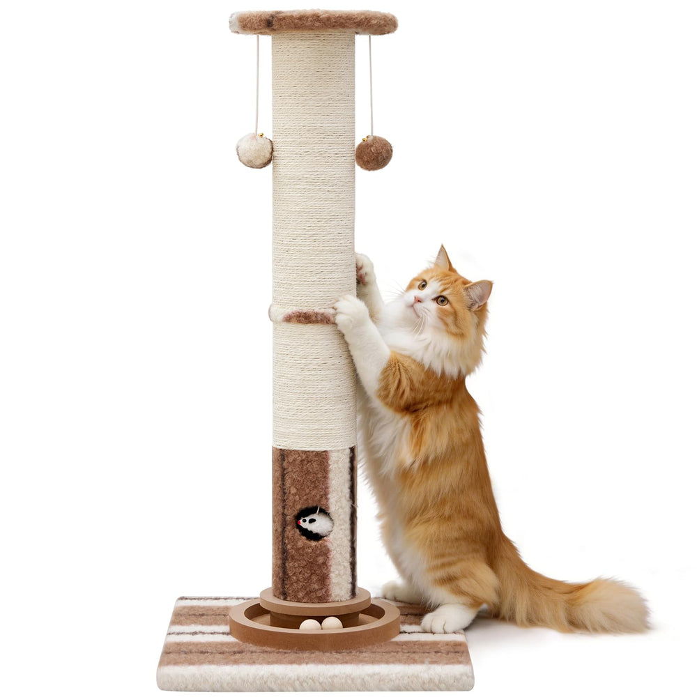 Woochpet easy assembly steps enable quick setup.