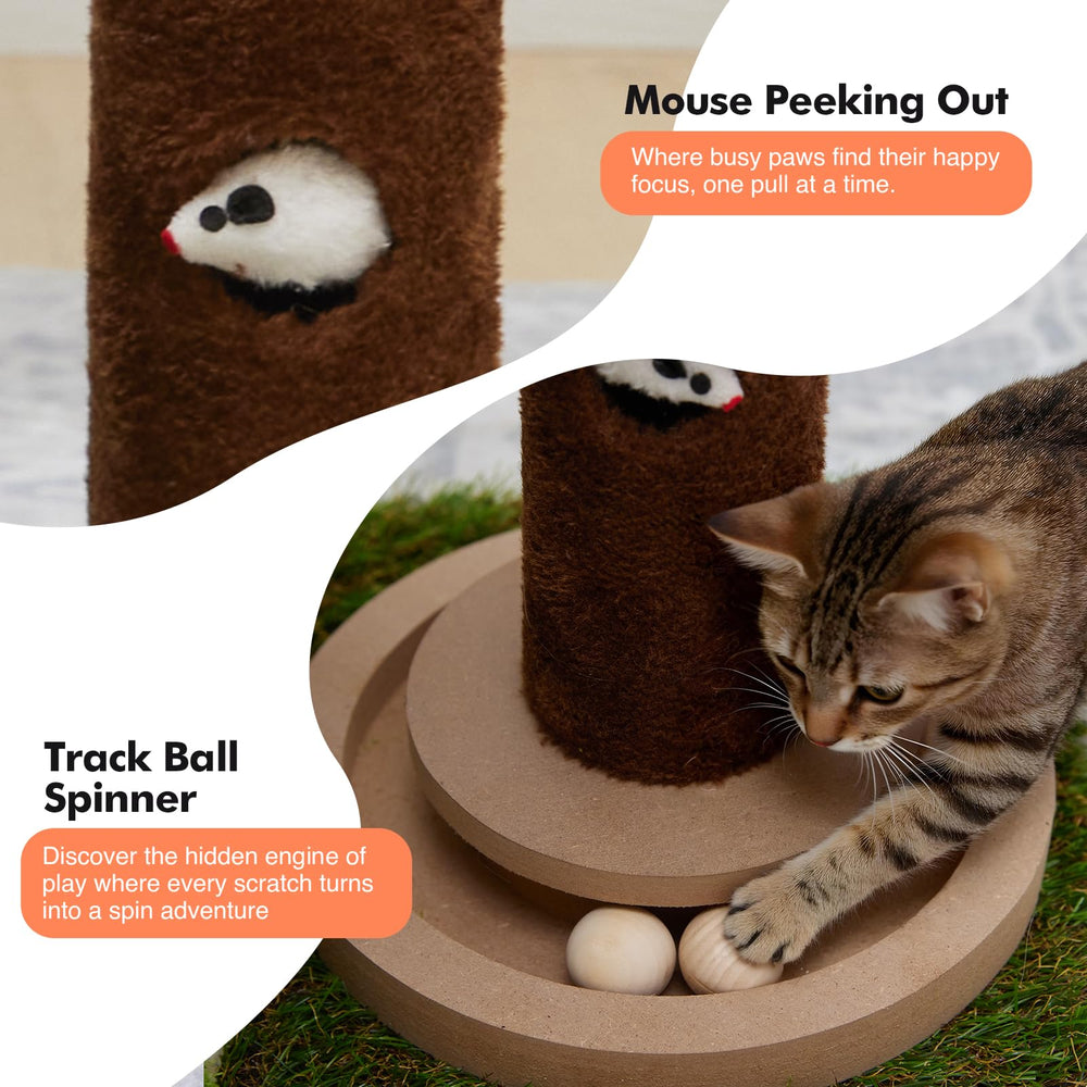 Woochpet interactive ball track toy provides enrichment during play sessions