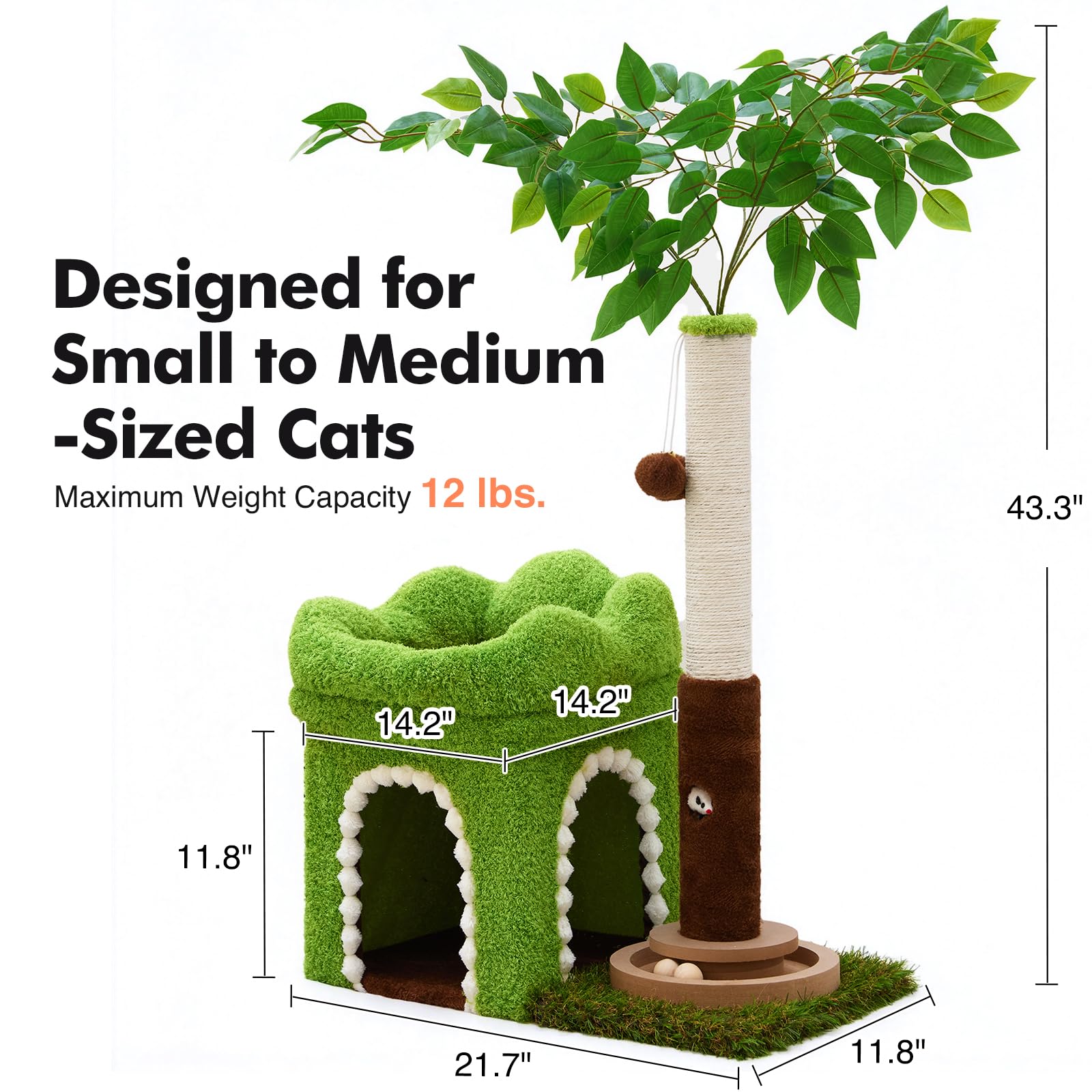 Woochpet suited for kittens and small cats to explore and rest