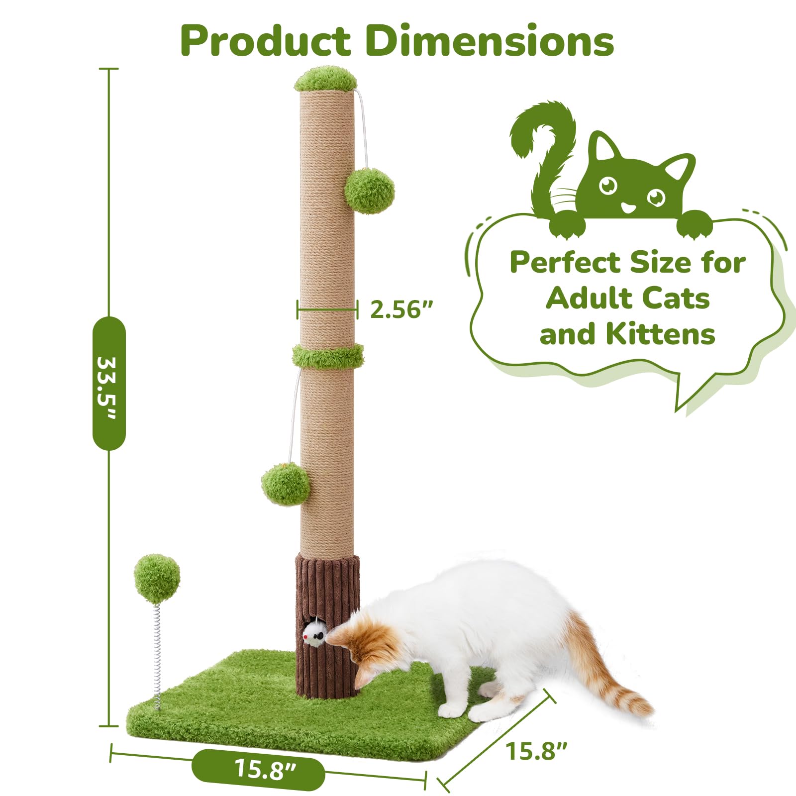 Woochpet mouse hole invites cats to explore during playtime