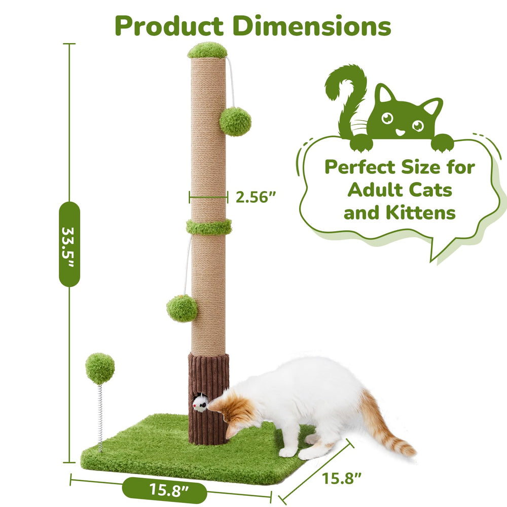 Woochpet mouse hole invites cats to explore during playtime