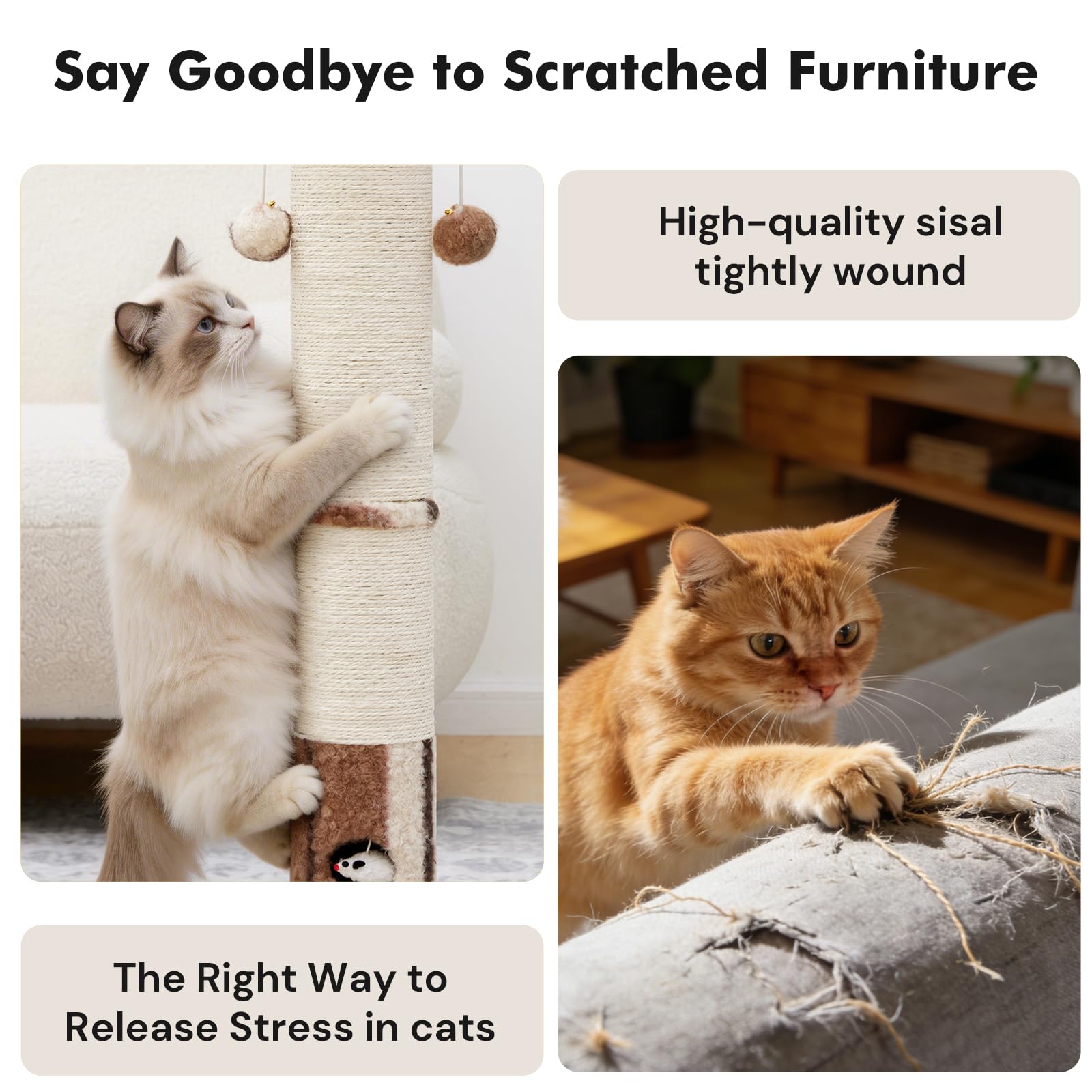 Woochpet novel mouse hole feature invites curious exploration.