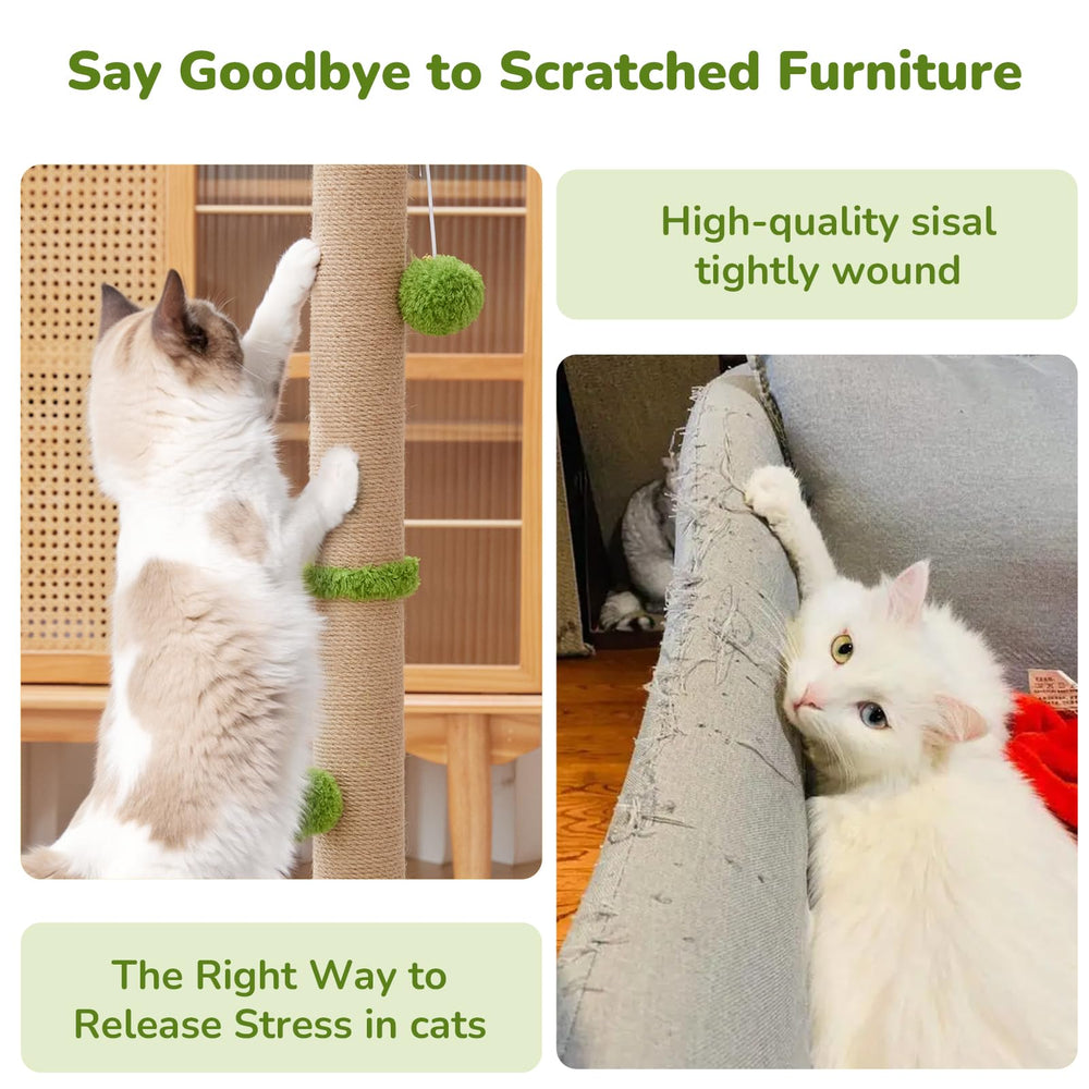 Woochpet soft plush base offers a cozy resting spot