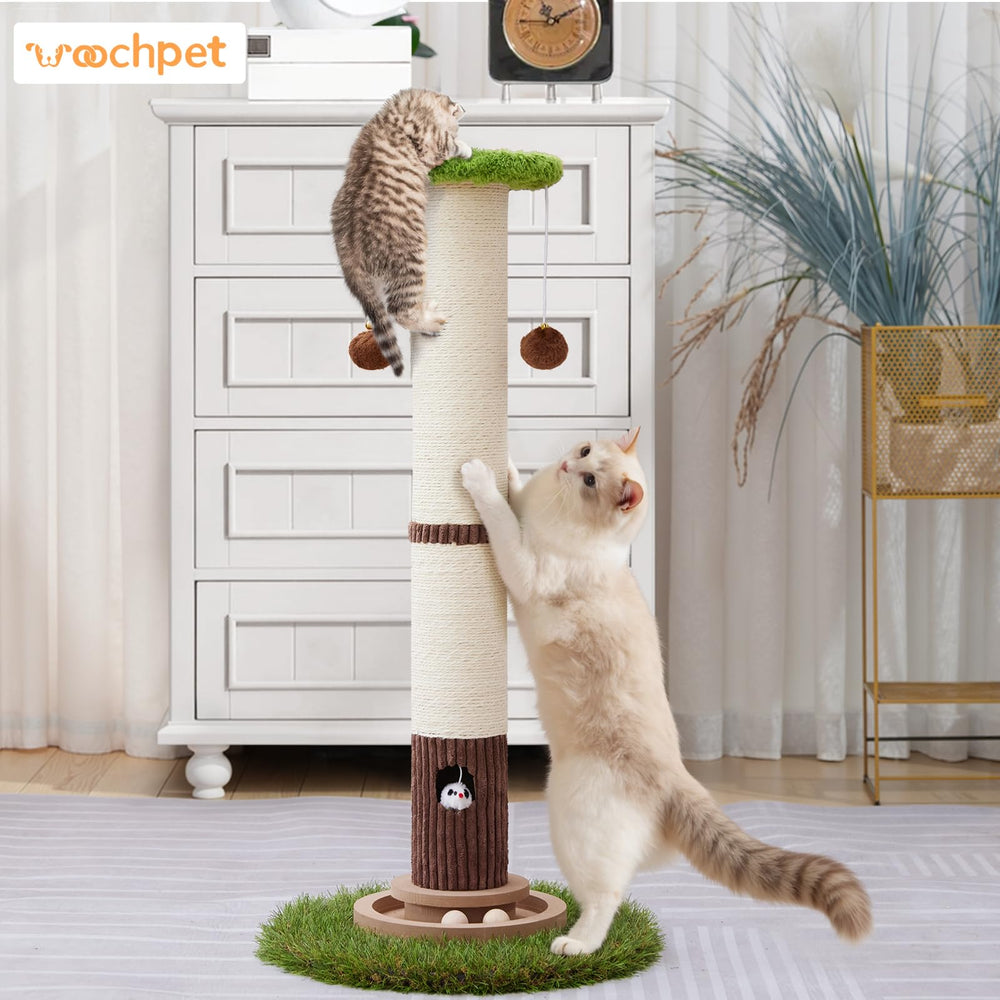 Woochpet space-saving design fits in smaller rooms stylishly.