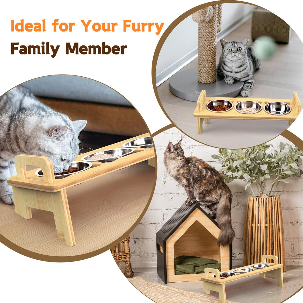 Ideal for small indoor cats during breakfast, lunch, and dinner