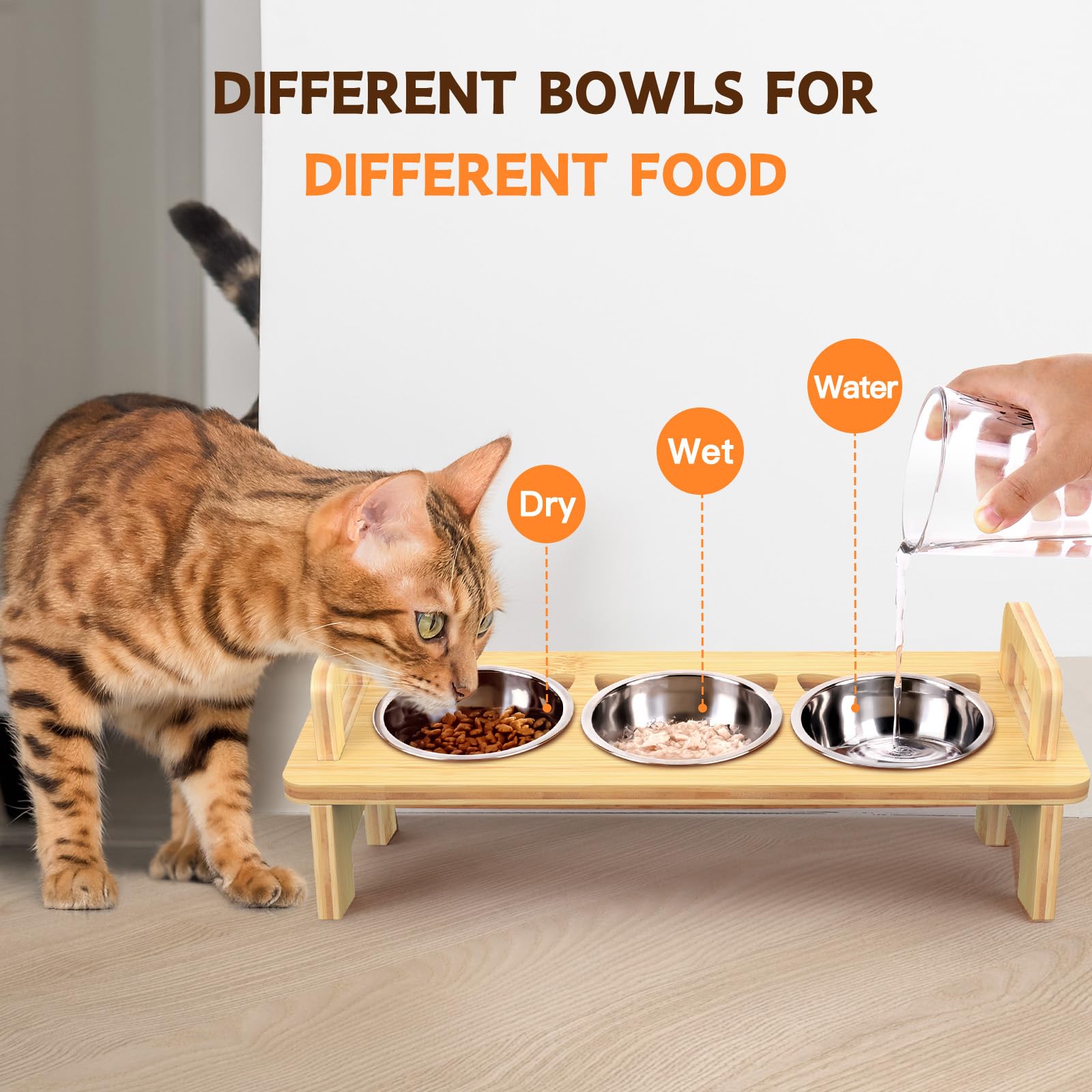 Modern bamboo design complements home decor and cat dining