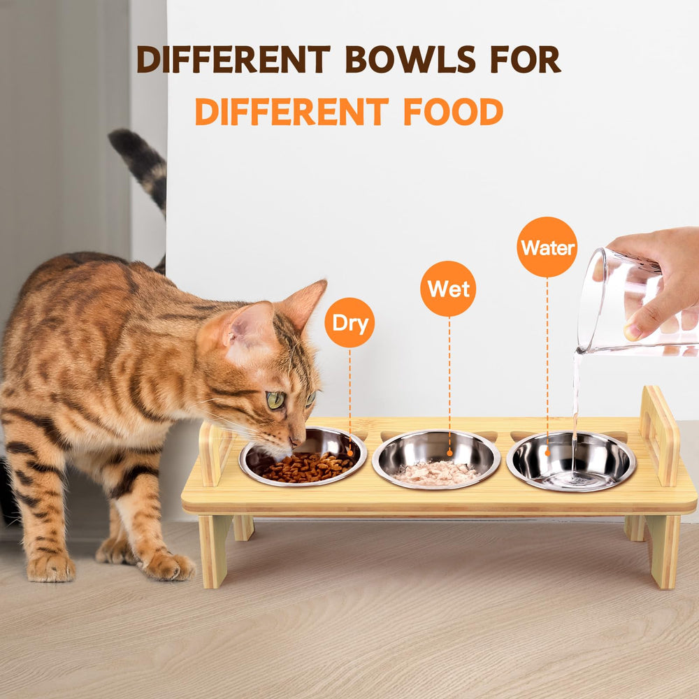 Modern bamboo design complements home decor and cat dining