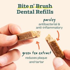 WOOF Bite n' Brush refill being inserted into the toy