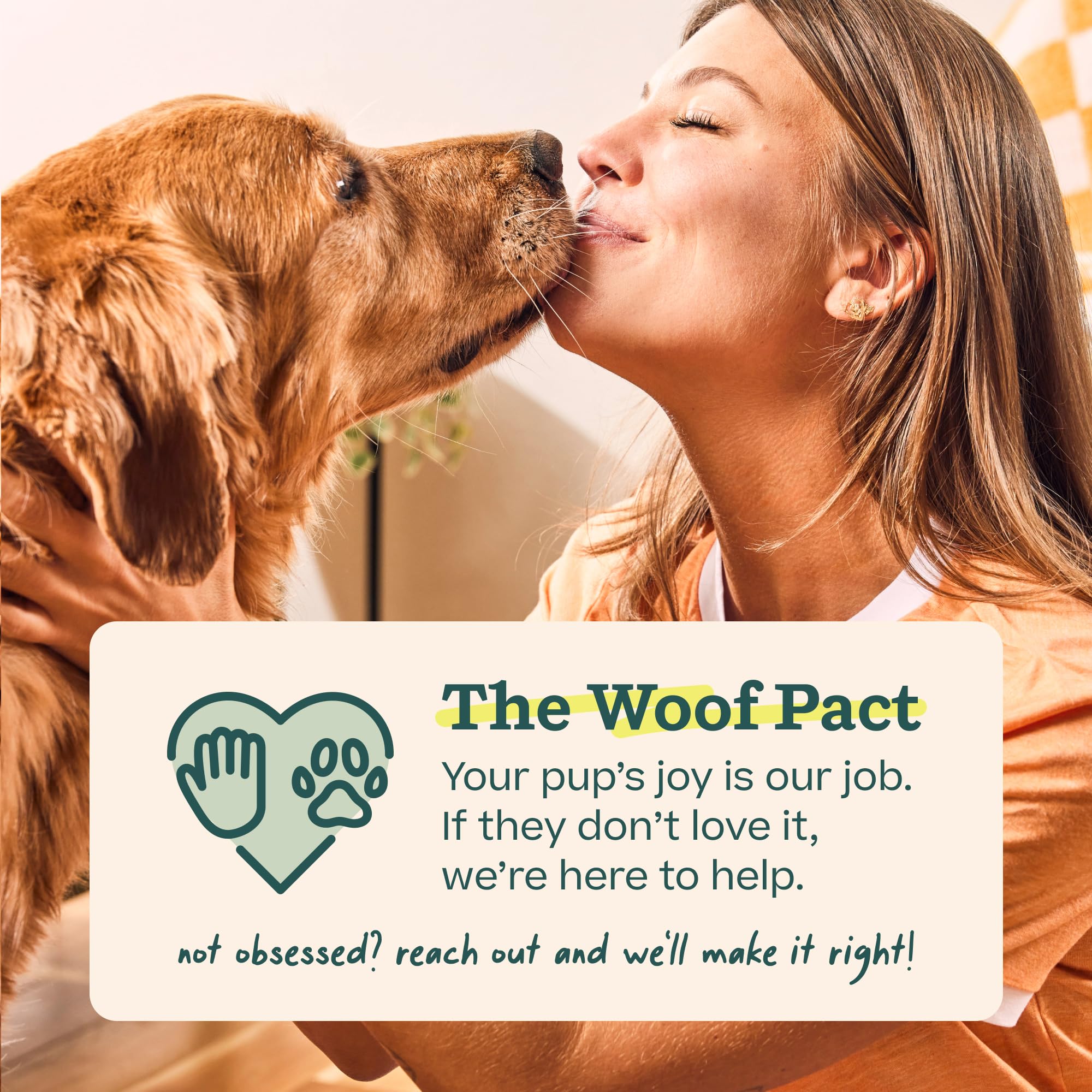 WOOF bully sticks dental scrape chew: supports chewing activity and enrichment