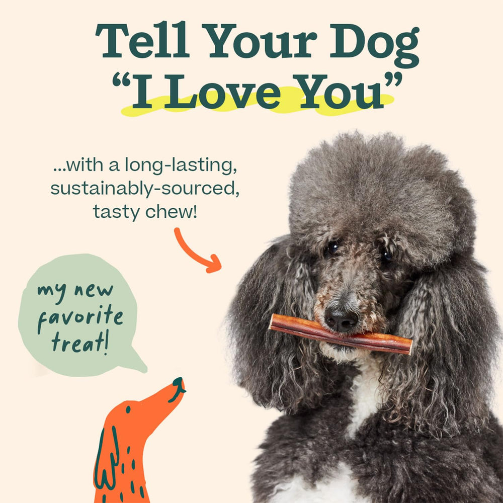 WOOF Bully Sticks enrichment and rewards for pets.