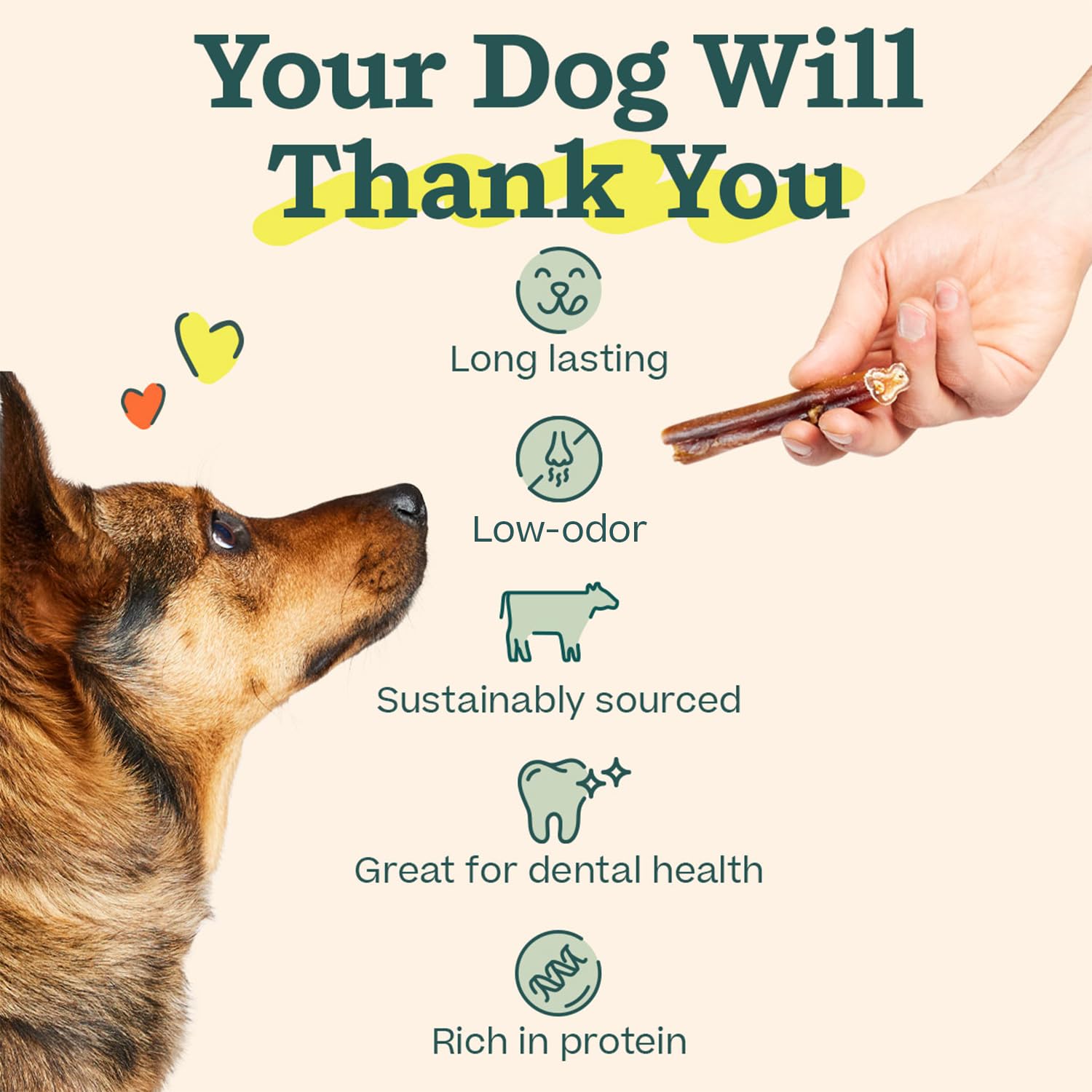WOOF Bully Sticks Teeth Cleaning – helps scrape away plaque during chewing.
