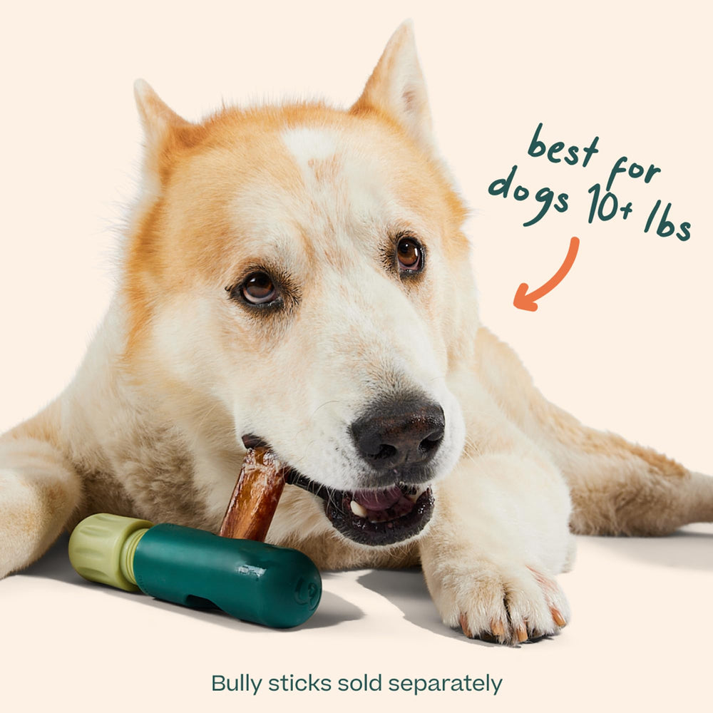 WOOF BullySafe disassembles for fast, simple installation during busy days.
