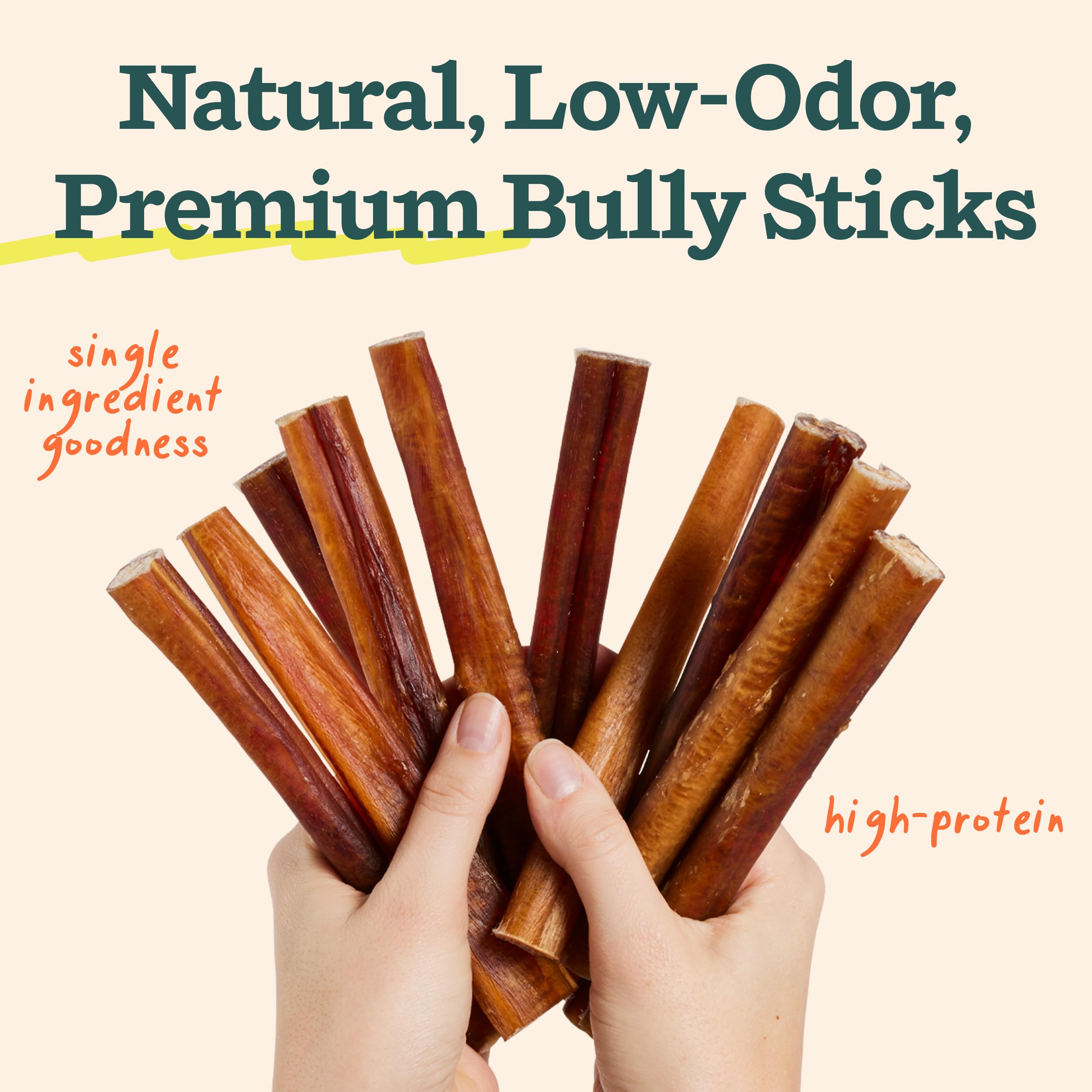 WOOF BullySafe secure-chew keeps ends from swallowing during chewing sessions.