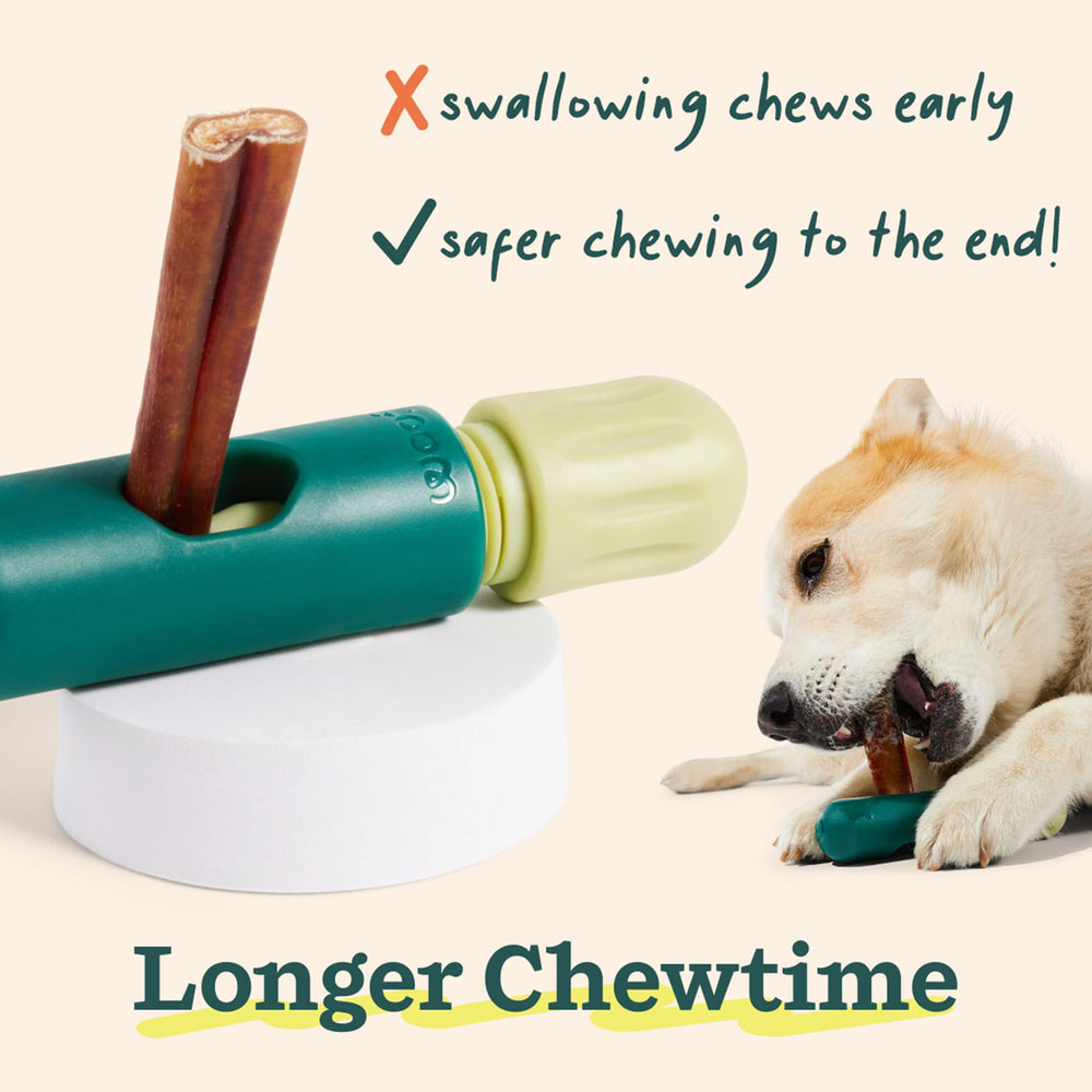 WOOF Denver-design-brand highlights thoughtful, dog-friendly design for safe play.