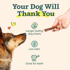 WOOF Dishwasher-safe-clean demonstrates easy cleaning after playful chewing.
