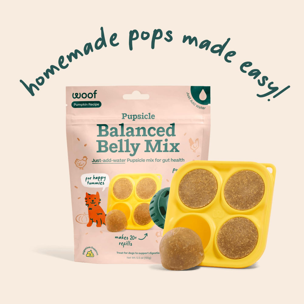 WOOF Pupsicle Mix in the freezer, ready for dogs to enjoy.