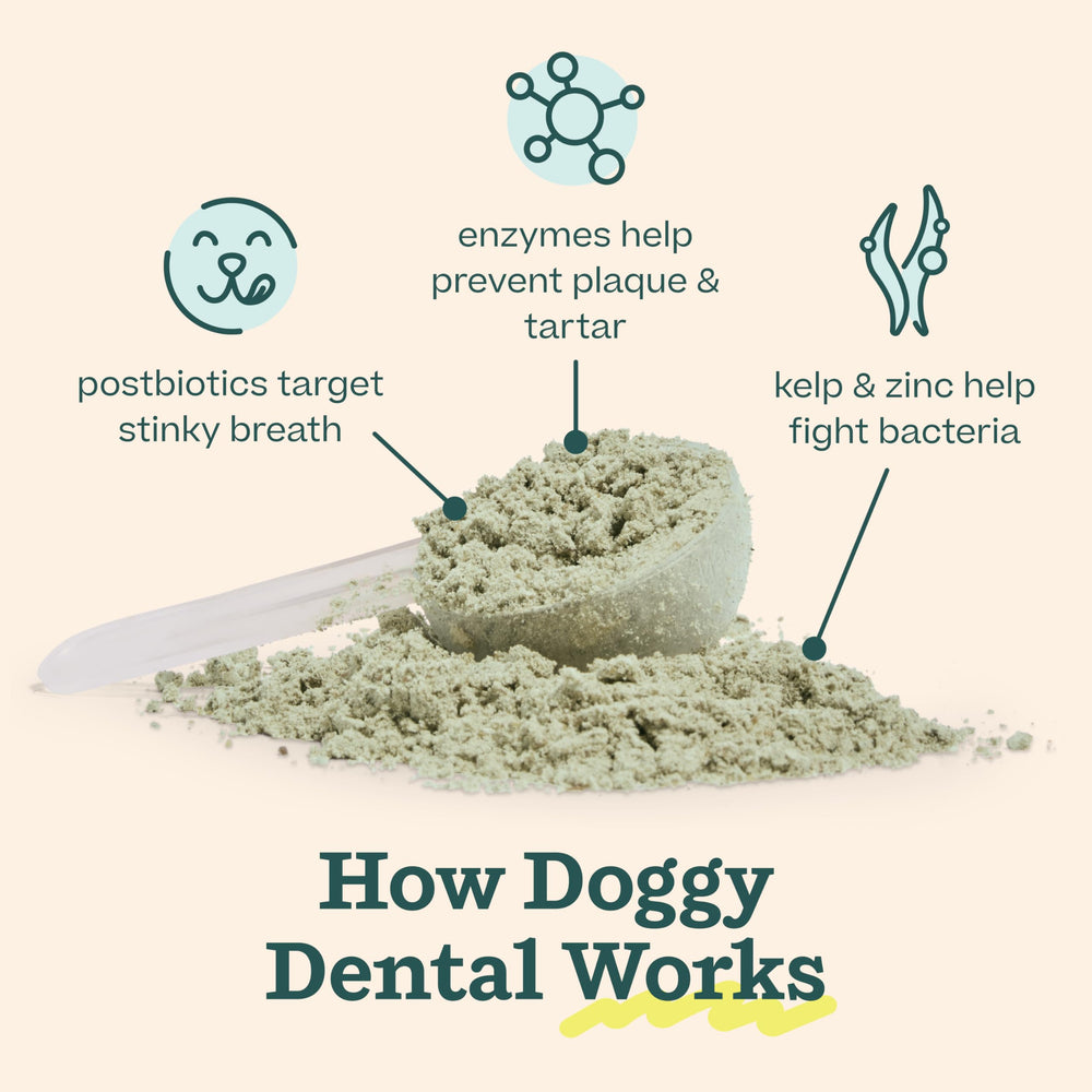 Woof Doggy Dental Pupsicle Mix dog-licking action supports fresh breath
