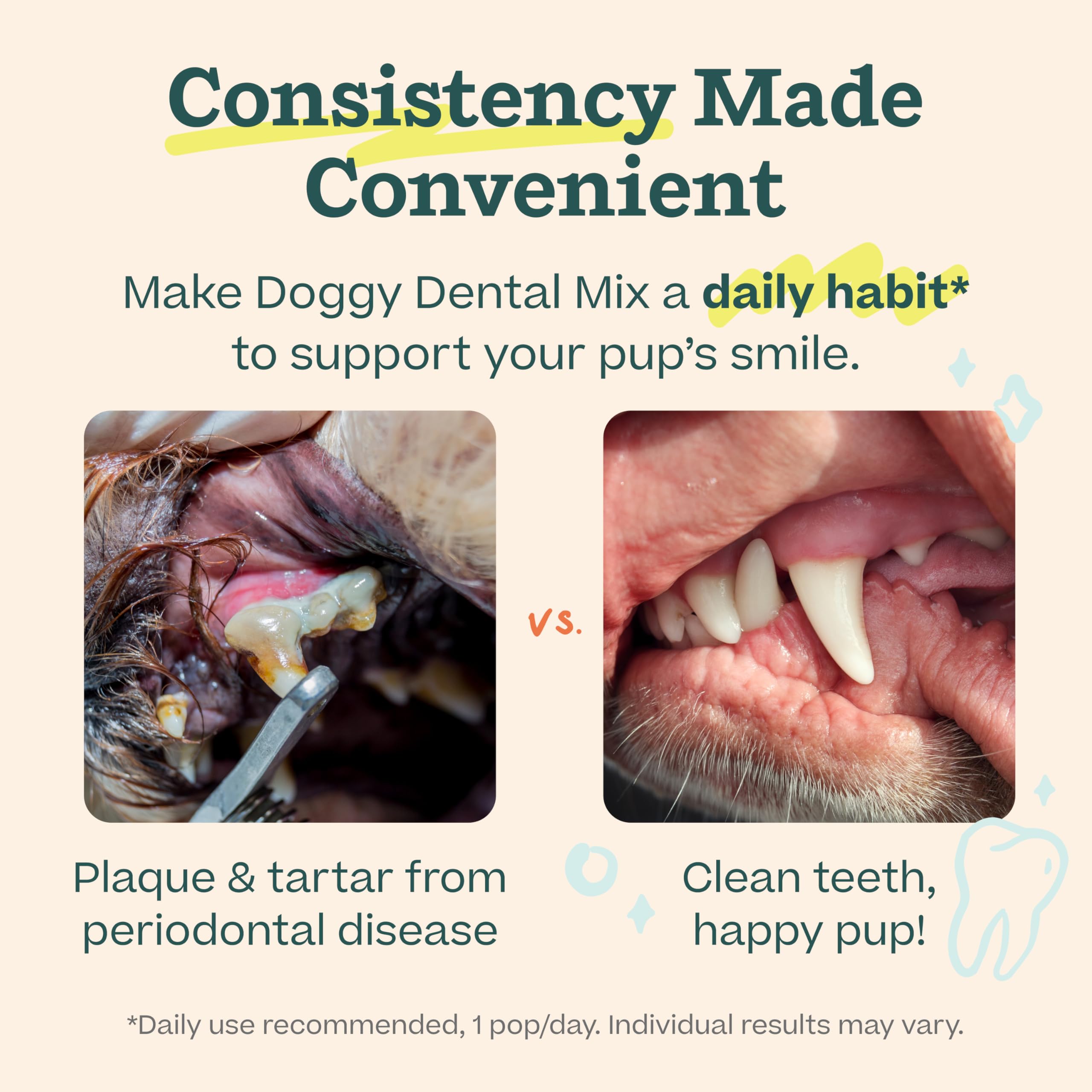 Woof Doggy Dental Pupsicle Mix ingredients highlight postbiotic enzymes
