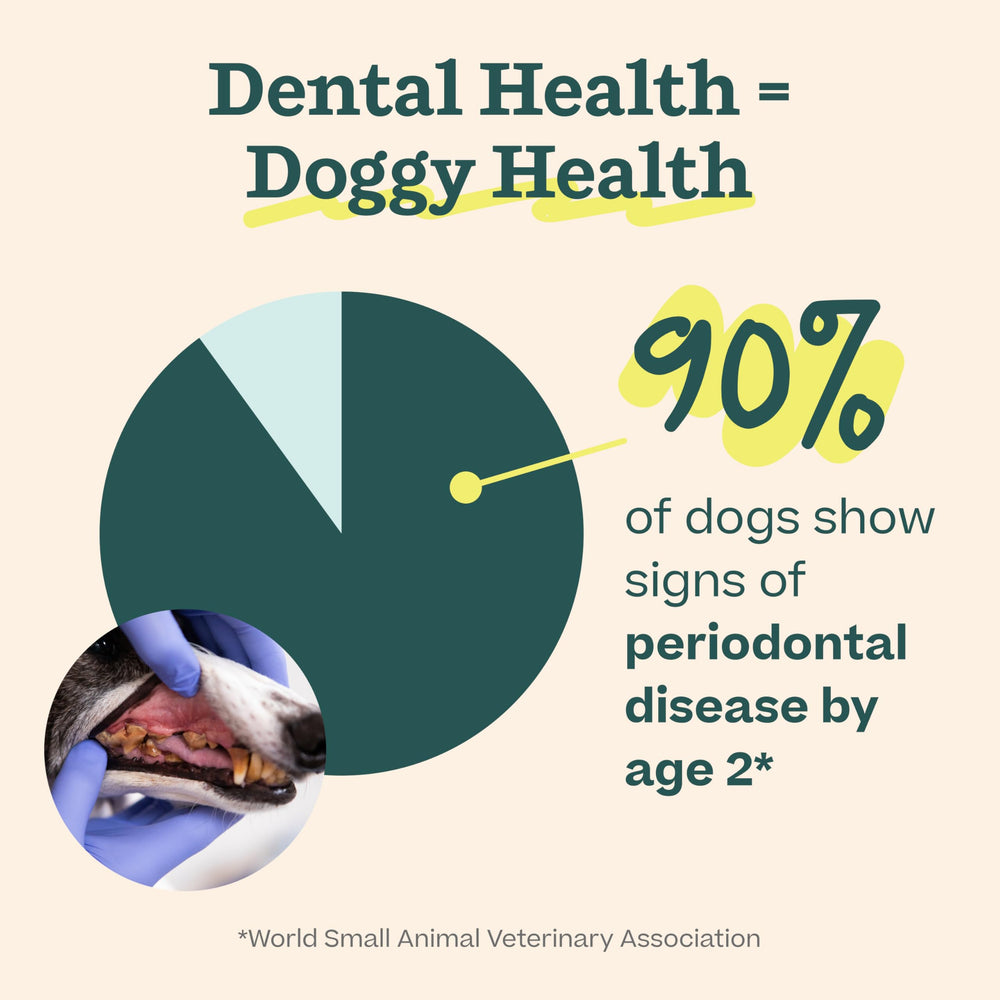Woof Doggy Dental Pupsicle Mix with water creates a tasty cleaning pop