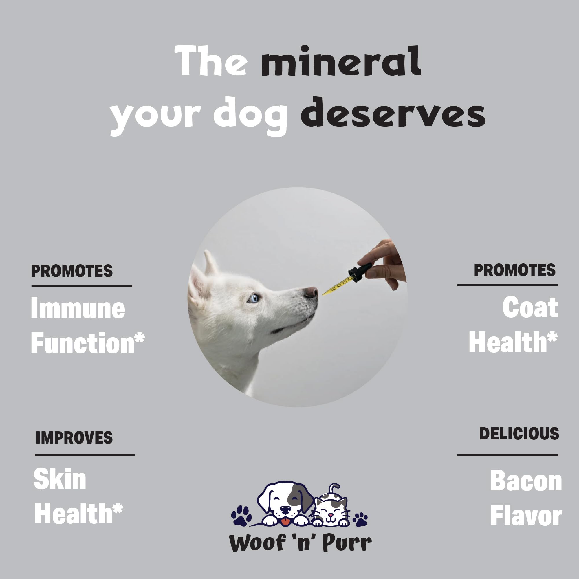Woof n Purr Zinc for Dogs coat glow and skin hydration in action.