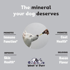 Woof n Purr Zinc for Dogs coat glow and skin hydration in action.