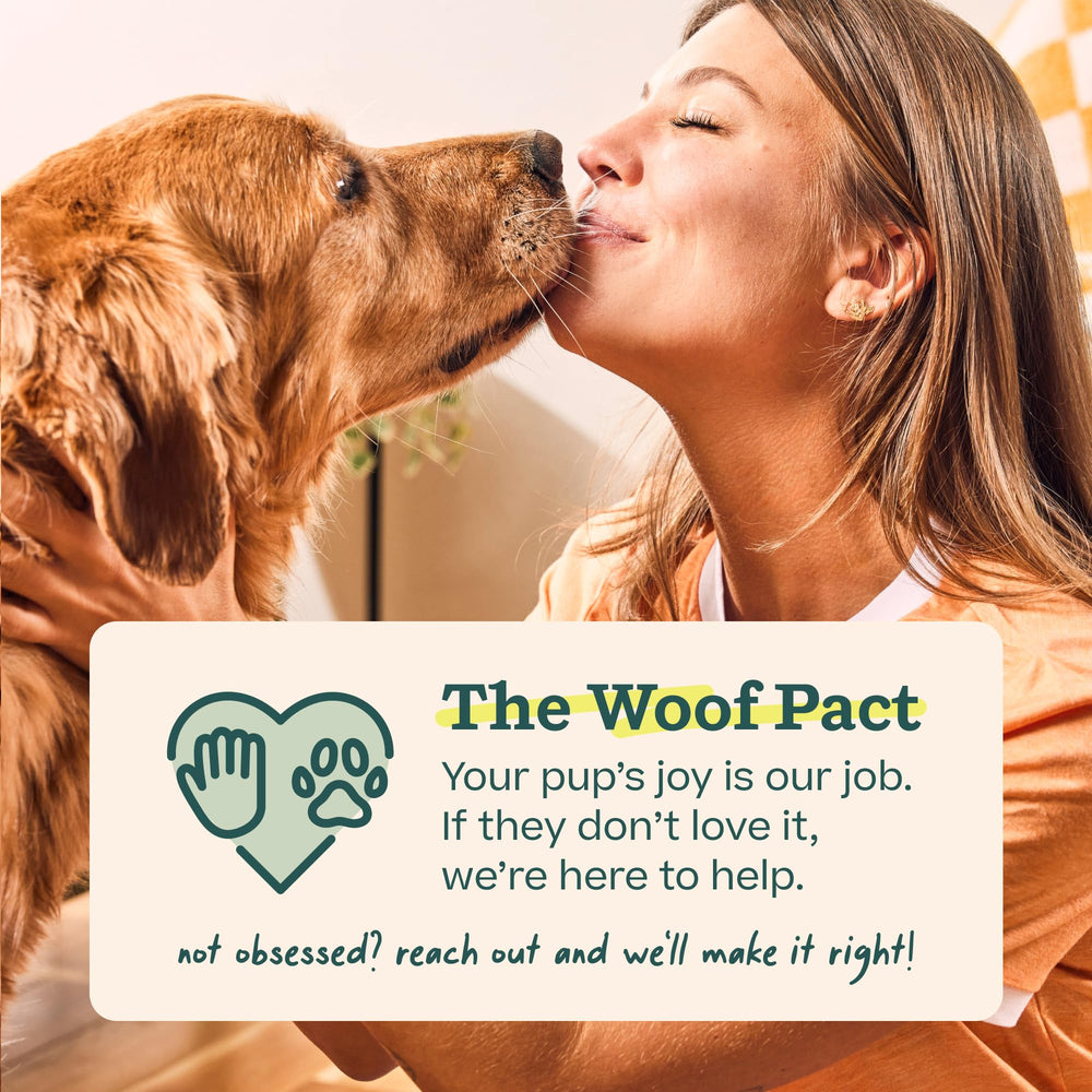 WOOF Party Pupsicle engaging-playtime promotes longer enrichment sessions.