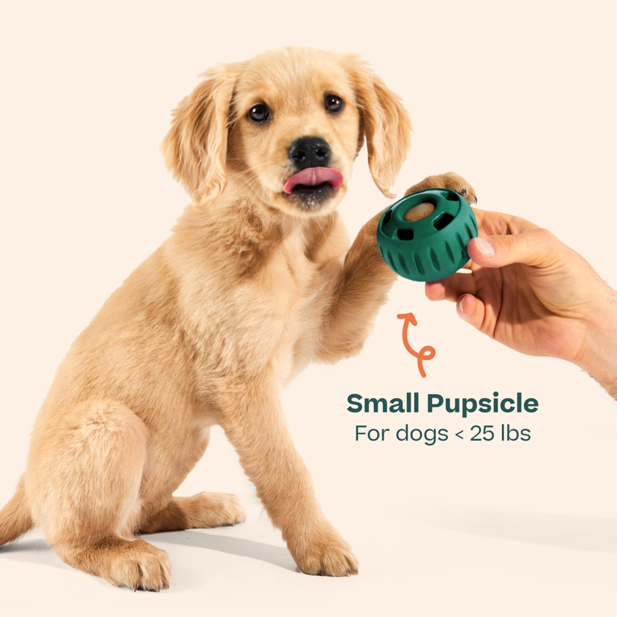 WOOF Pupsicle designed in Denver for thoughtful, durable enrichment.