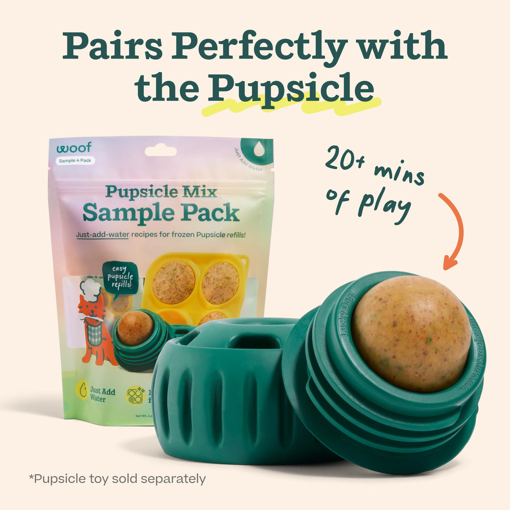 WOOF Balanced Belly with pumpkin and prebiotics supports gentle gut balance.