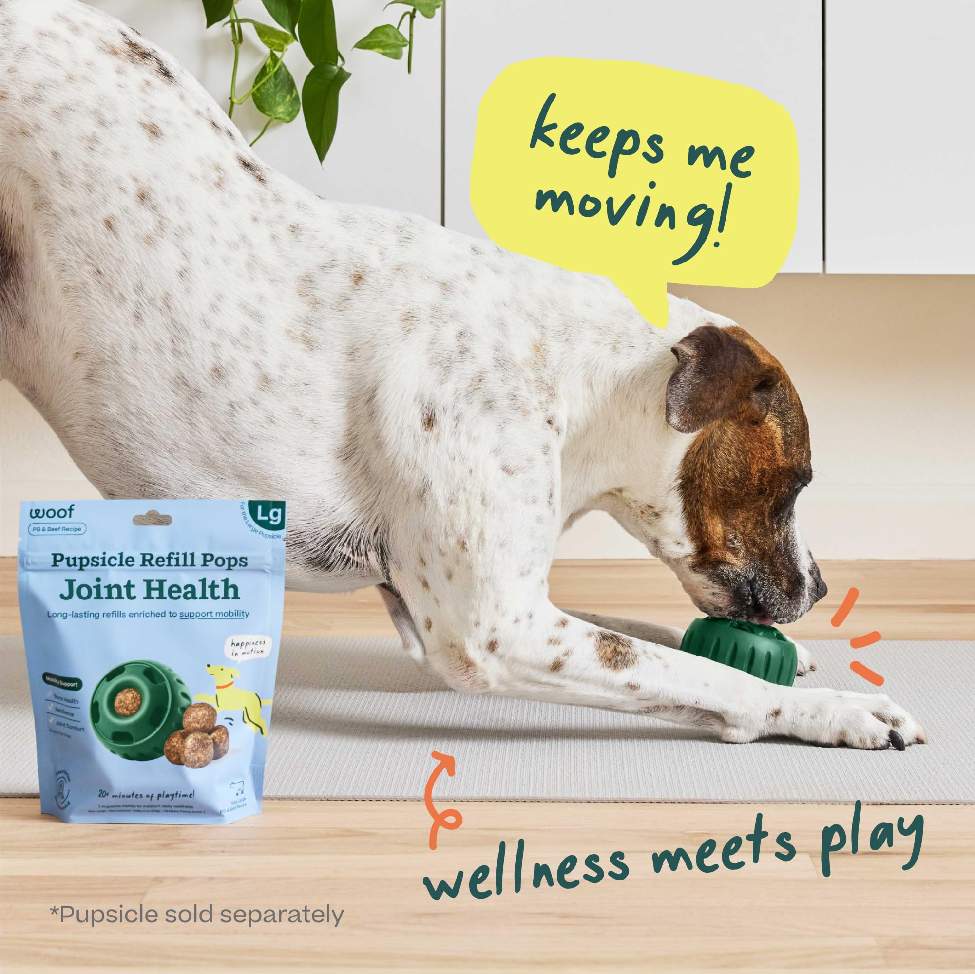 Shelf-stable packaging displayed for travel-friendly dog treats