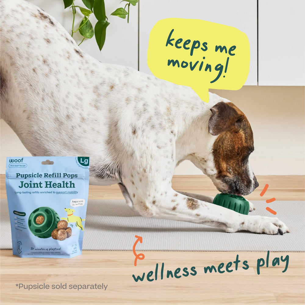 Shelf-stable packaging displayed for travel-friendly dog treats