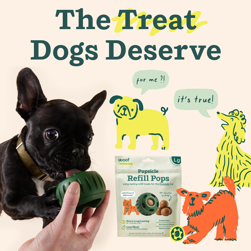 Made in USA label on WOOF Pupsicle Refill Pops packaging.