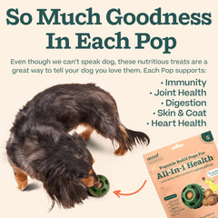 WOOF Pupsicle refill with beef tallow delivers lasting satisfaction on trips.