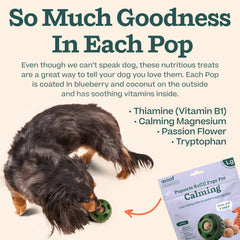 WOOF Pupsicle refill pops made in USA with safe, familiar ingredients.
