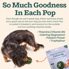Woof Pupsicle Refill Pops on an adventure for convenient, calming snack.