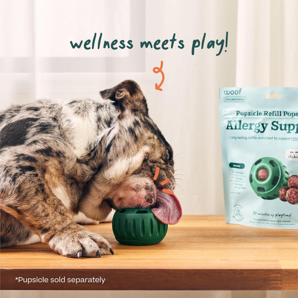 Peanut butter flavor in WOOF Pupsicle Refill Pops dogs love during snack time.