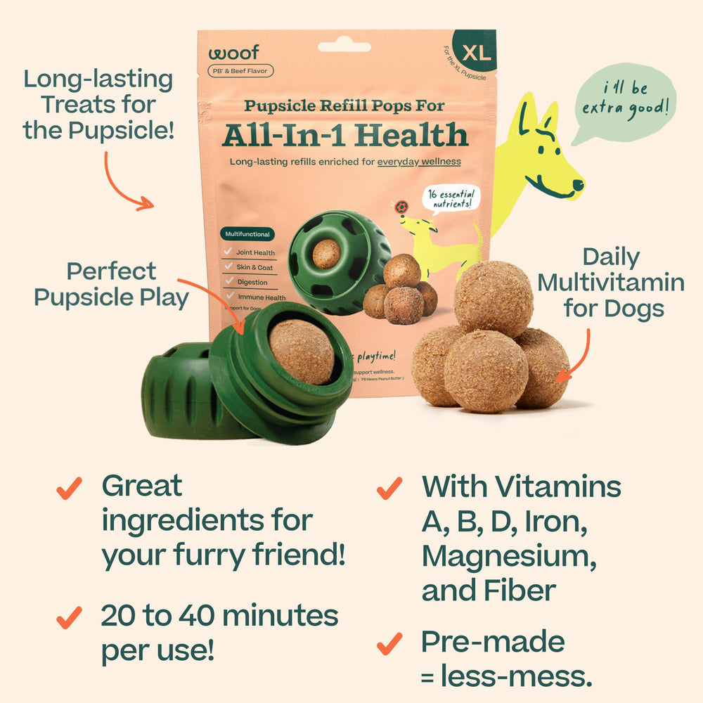 Dog tasting WOOF Pupsicle refill pops XL during park walk for a tasty, functional treat