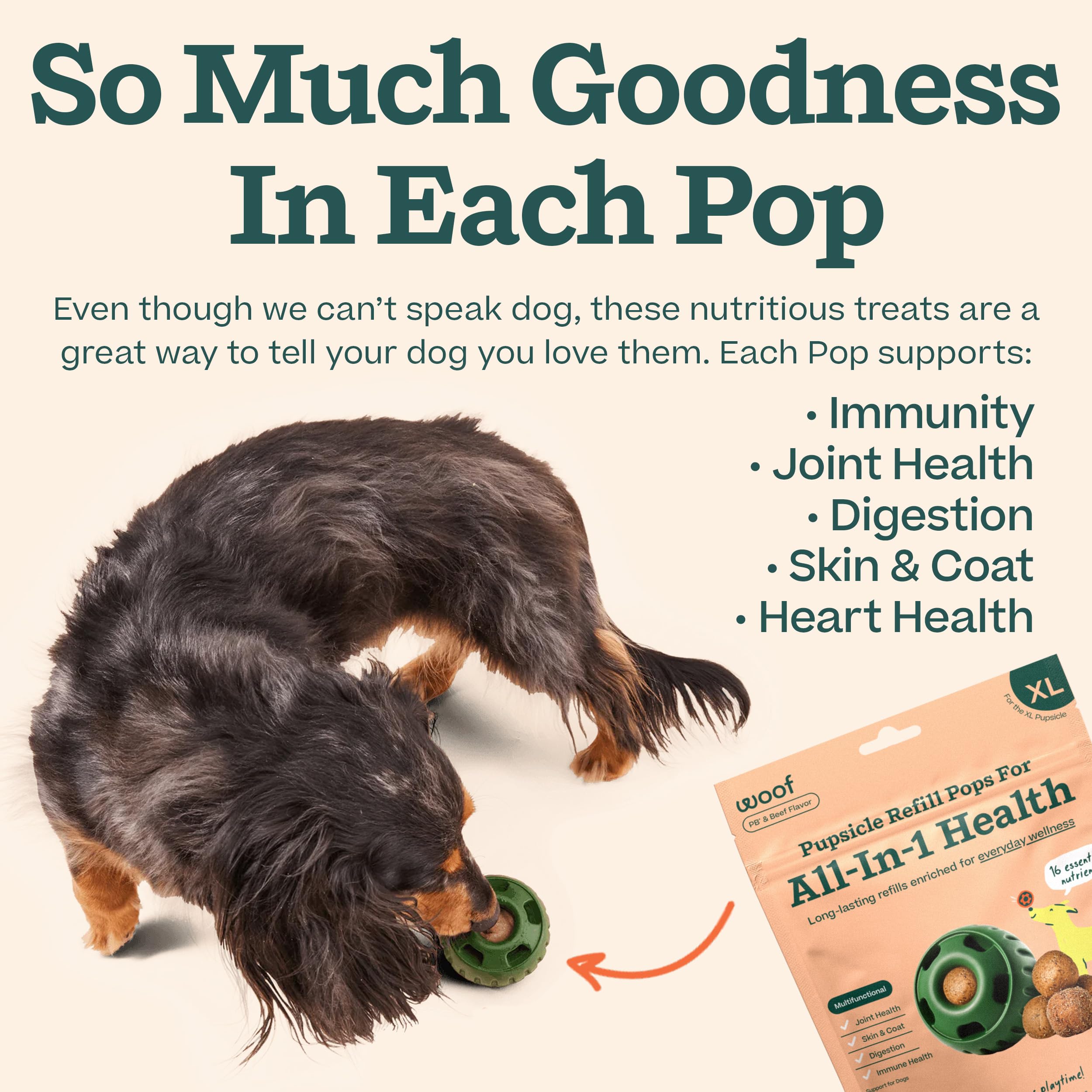 Dog enjoying an outdoor hike with WOOF Pupsicle refill pops XL for extended play