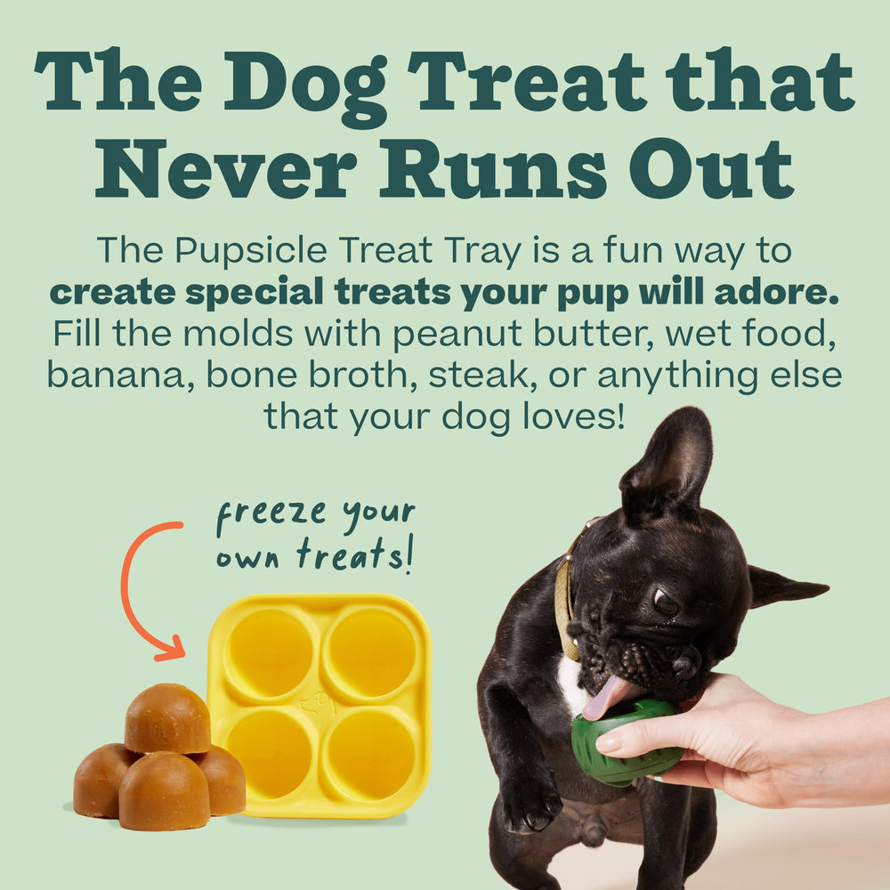 Woof Pupsicle Treat Tray dishwasher-safe, easy cleanup after treats.