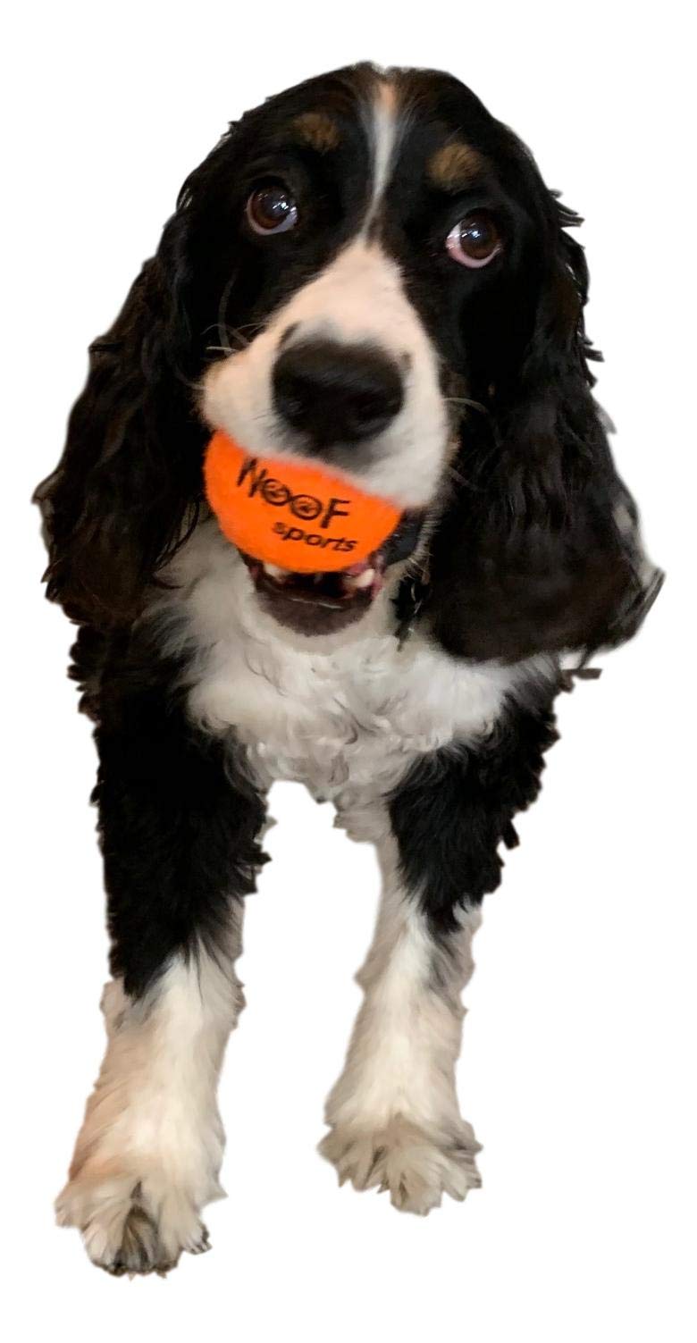 Woof Sports balls fit standard ball launcher for convenient games