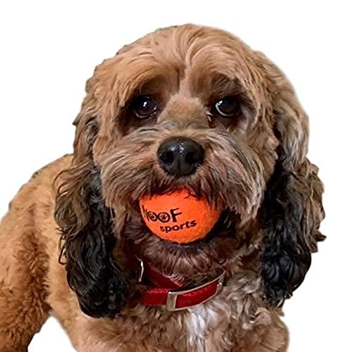 Woof Sports durable mini tennis ball for chewers, thicker walls for longevity.