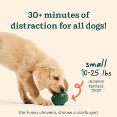 WOOF Treat mold filling scene, highlighting creative, mess-free enrichment options.