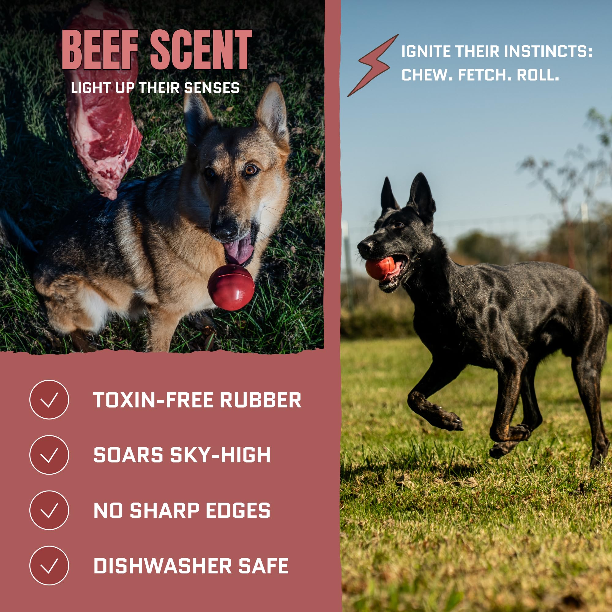 WoofBite 3-inch beef-scent ball chew-action shot, ideal for fetch and bite resistance.