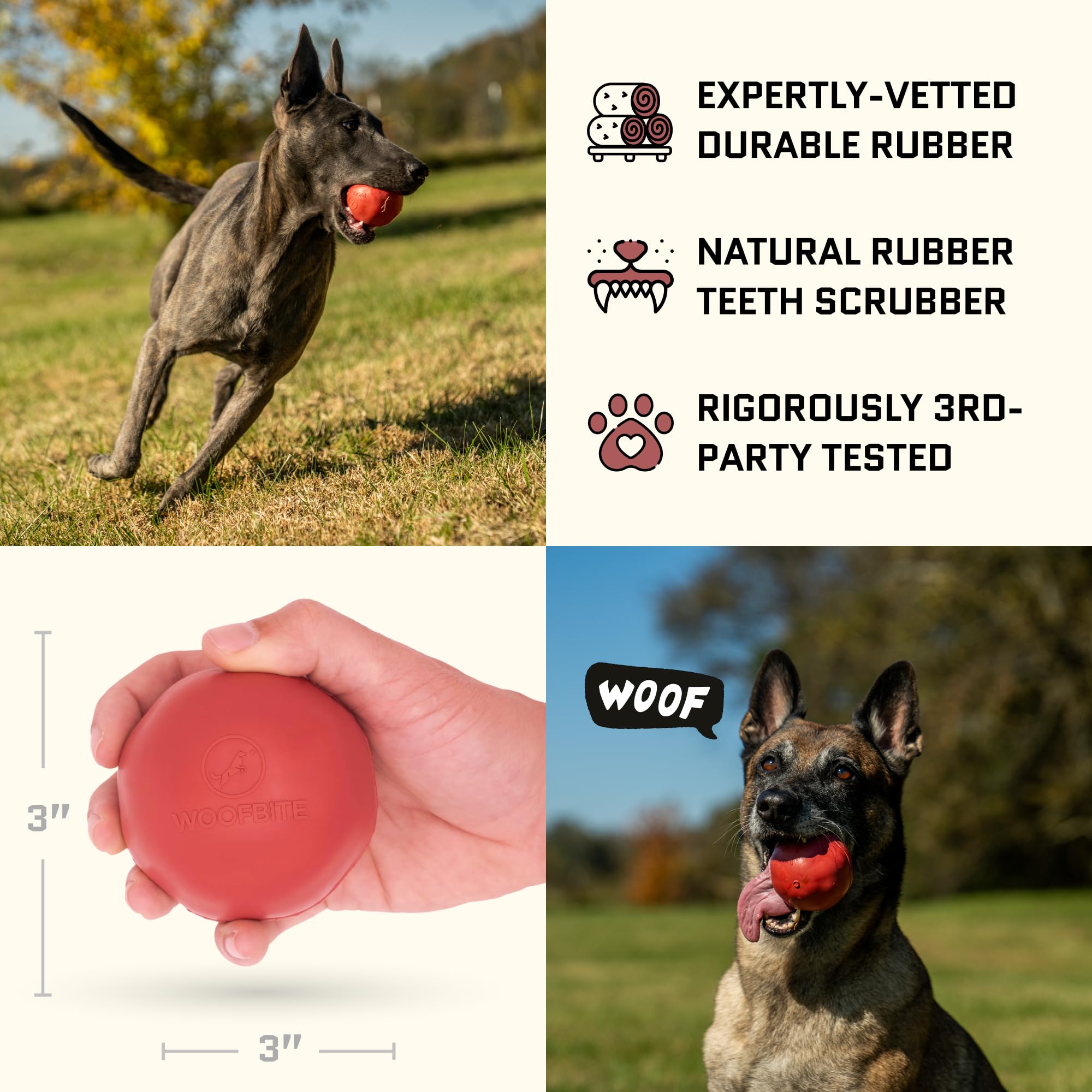 WoofBite 3-inch beef-scent ball in dog's mouth, safe natural rubber for chewers.