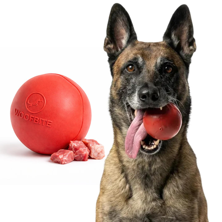 WoofBite 3-inch beef-scent ball top view, durable chew toy for power chewers.